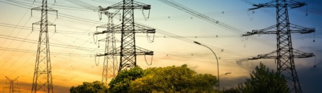 Зміна ціни електричної енергії на РДН та ВДР за 10 днів січня 2021 року