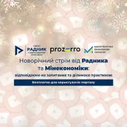 Новорічний стрім від Радника та Мінекономіки: відповідаємо на запитання та ділимося практикою